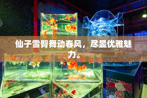 仙子雪臀舞动春风，尽显优雅魅力。