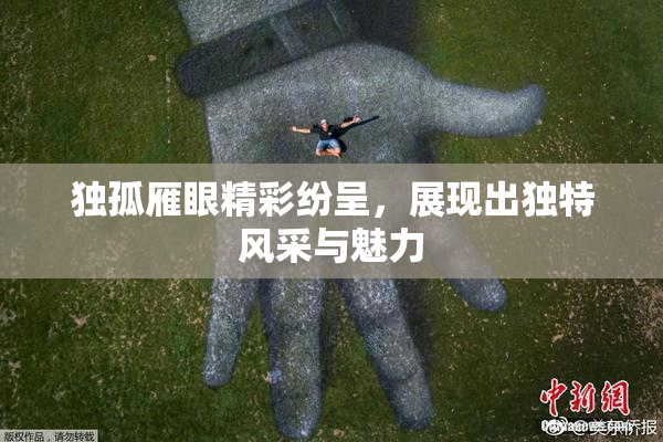 独孤雁眼精彩纷呈，展现出独特风采与魅力