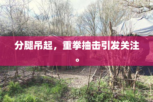分腿吊起，重拳抽击引发关注。