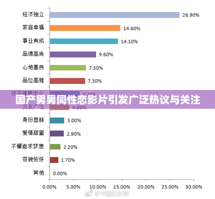 国产男男同性恋影片引发广泛热议与关注