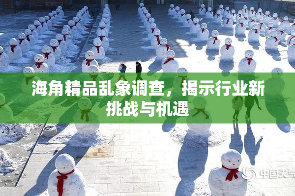 海角精品乱象调查，揭示行业新挑战与机遇