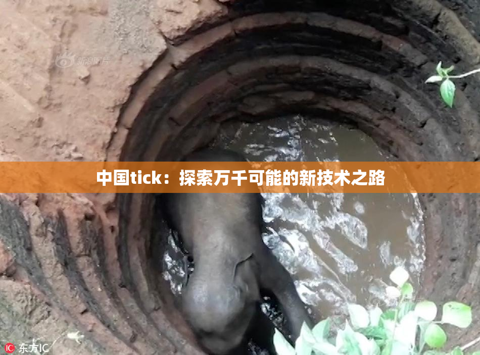 中国tick：探索万千可能的新技术之路