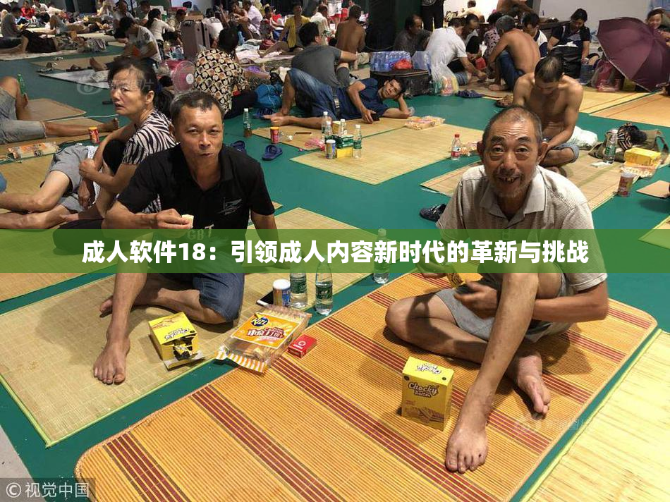成人软件18：引领成人内容新时代的革新与挑战