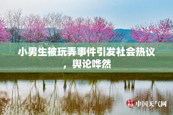 小男生被玩弄事件引发社会热议，舆论哗然