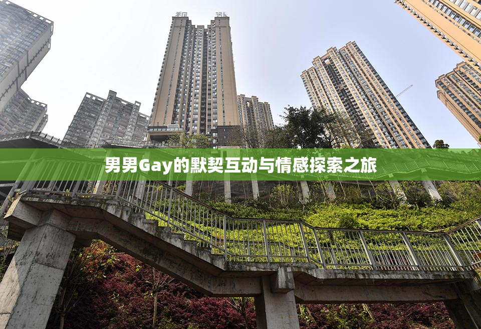 男男Gay的默契互动与情感探索之旅