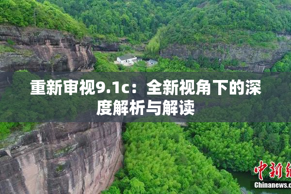 重新审视9.1c：全新视角下的深度解析与解读