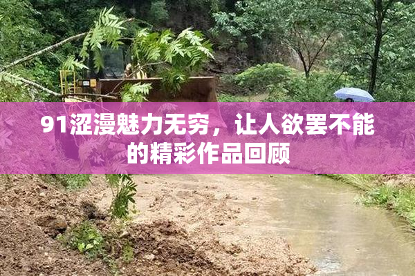 91涩漫魅力无穷，让人欲罢不能的精彩作品回顾