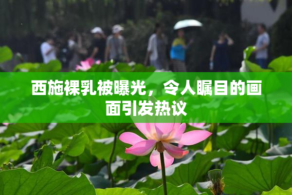 西施裸乳被曝光，令人瞩目的画面引发热议