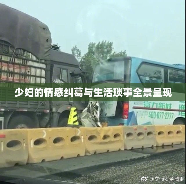 少妇的情感纠葛与生活琐事全景呈现