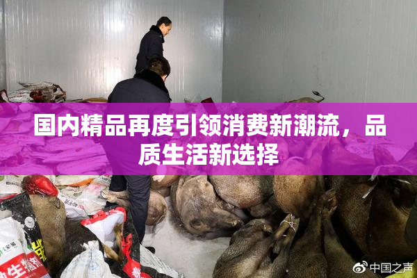 国内精品再度引领消费新潮流，品质生活新选择
