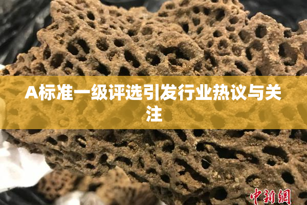 A标准一级评选引发行业热议与关注