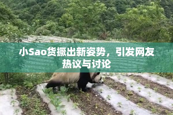 小Sao货撅出新姿势，引发网友热议与讨论