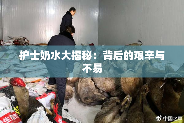 护士奶水大揭秘：背后的艰辛与不易