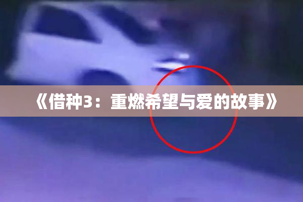 《借种3：重燃希望与爱的故事》