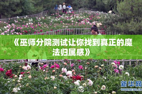 《巫师分院测试让你找到真正的魔法归属感》