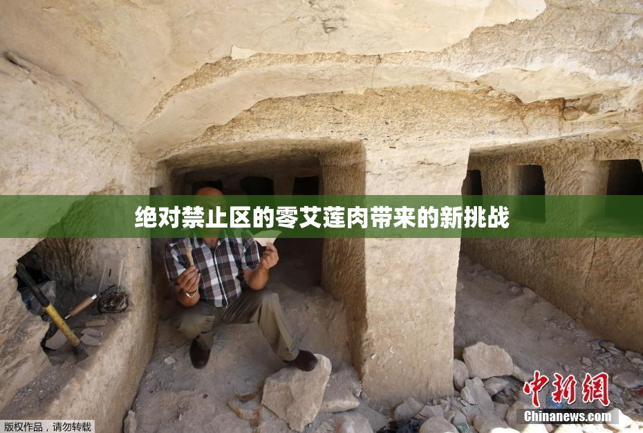绝对禁止区的零艾莲肉带来的新挑战