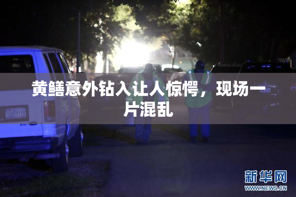 黄鳝意外钻入让人惊愕，现场一片混乱