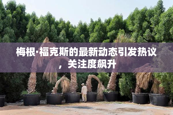 梅根·福克斯的最新动态引发热议，关注度飙升