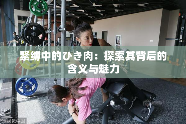 紧缚中的ひき肉：探索其背后的含义与魅力