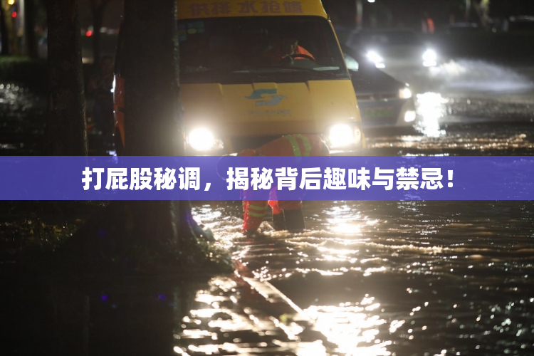 打屁股秘调，揭秘背后趣味与禁忌！