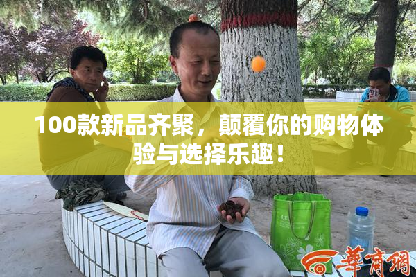 100款新品齐聚，颠覆你的购物体验与选择乐趣！
