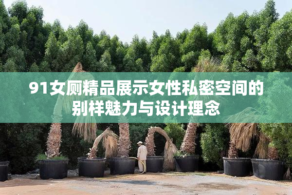 91女厕精品展示女性私密空间的别样魅力与设计理念