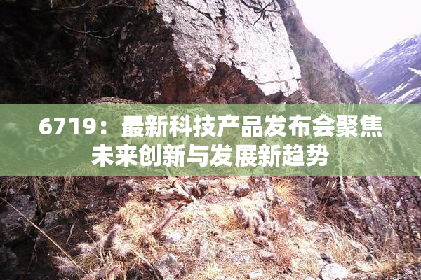 6719：最新科技产品发布会聚焦未来创新与发展新趋势
