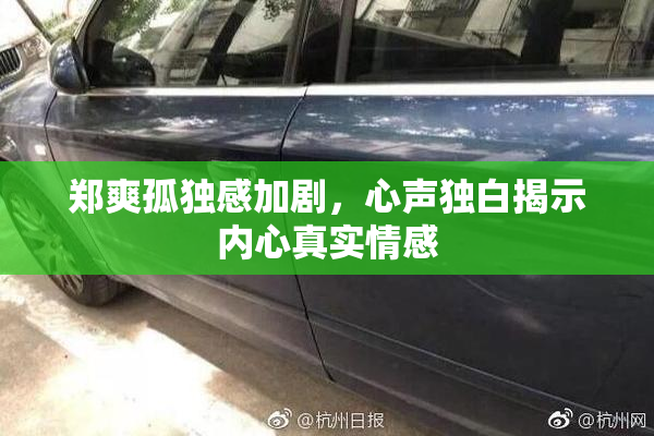 郑爽孤独感加剧，心声独白揭示内心真实情感