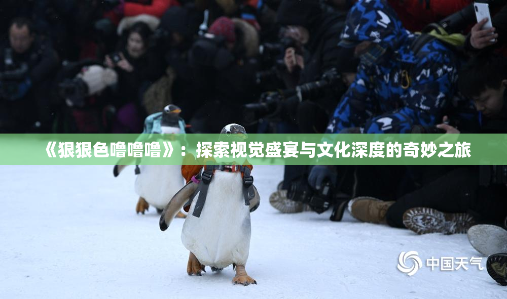 《狠狠色噜噜噜》：探索视觉盛宴与文化深度的奇妙之旅