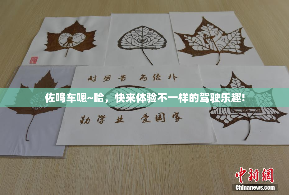 佐鸣车嗯~哈，快来体验不一样的驾驶乐趣!