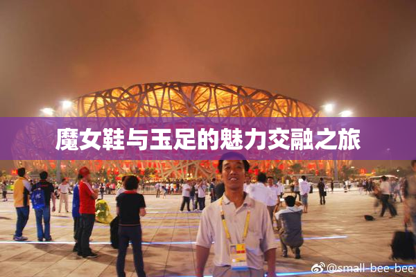 魔女鞋与玉足的魅力交融之旅