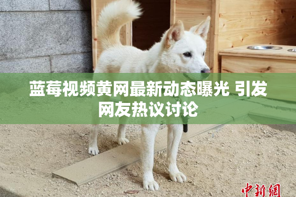蓝莓视频黄网最新动态曝光 引发网友热议讨论