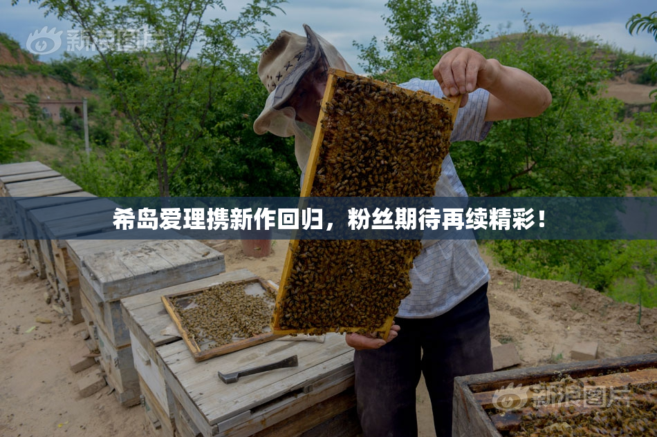 希岛爱理携新作回归，粉丝期待再续精彩！