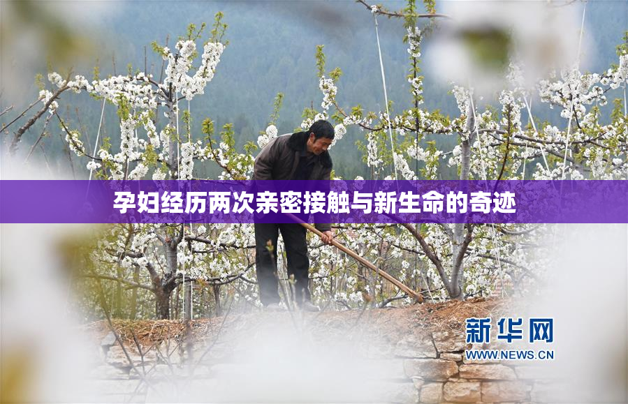 孕妇经历两次亲密接触与新生命的奇迹
