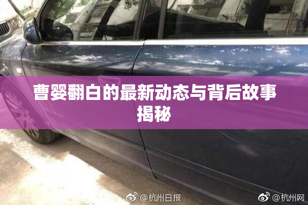 曹婴翻白的最新动态与背后故事揭秘
