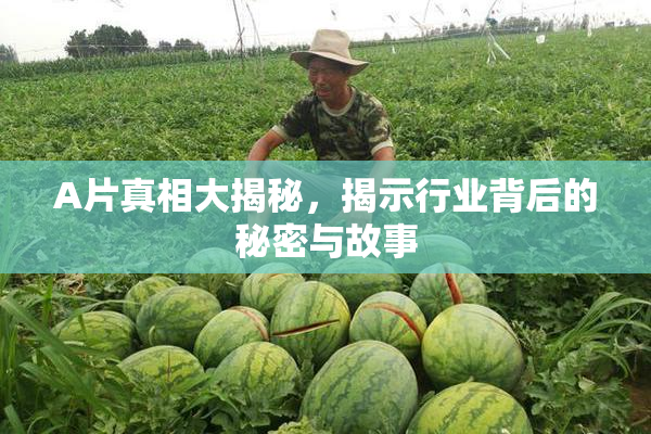 A片真相大揭秘，揭示行业背后的秘密与故事