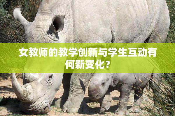 女教师的教学创新与学生互动有何新变化？