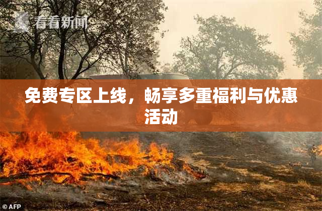 免费专区上线，畅享多重福利与优惠活动