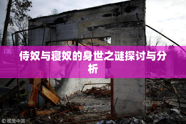 侍奴与寝奴的身世之谜探讨与分析