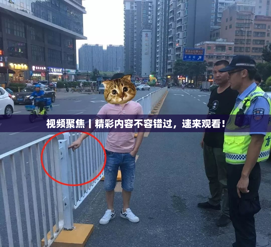 视频聚焦丨精彩内容不容错过，速来观看！