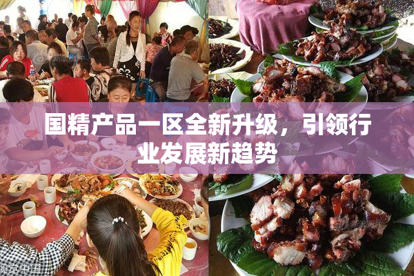 国精产品一区全新升级，引领行业发展新趋势