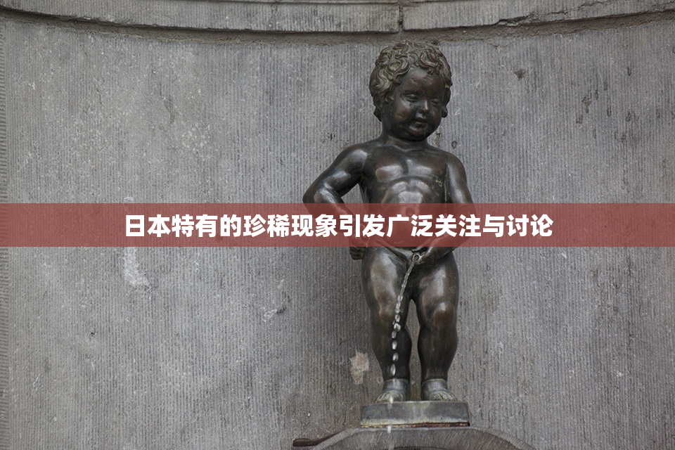 日本特有的珍稀现象引发广泛关注与讨论