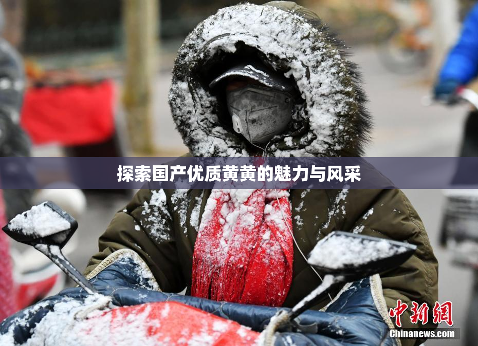 探索国产优质黄黄的魅力与风采