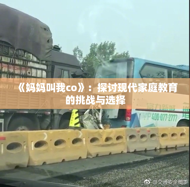 《妈妈叫我co》：探讨现代家庭教育的挑战与选择