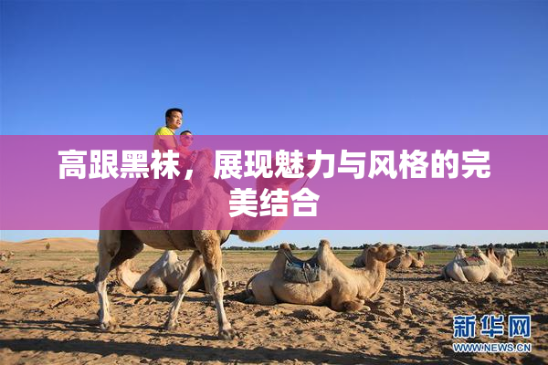 高跟黑袜，展现魅力与风格的完美结合