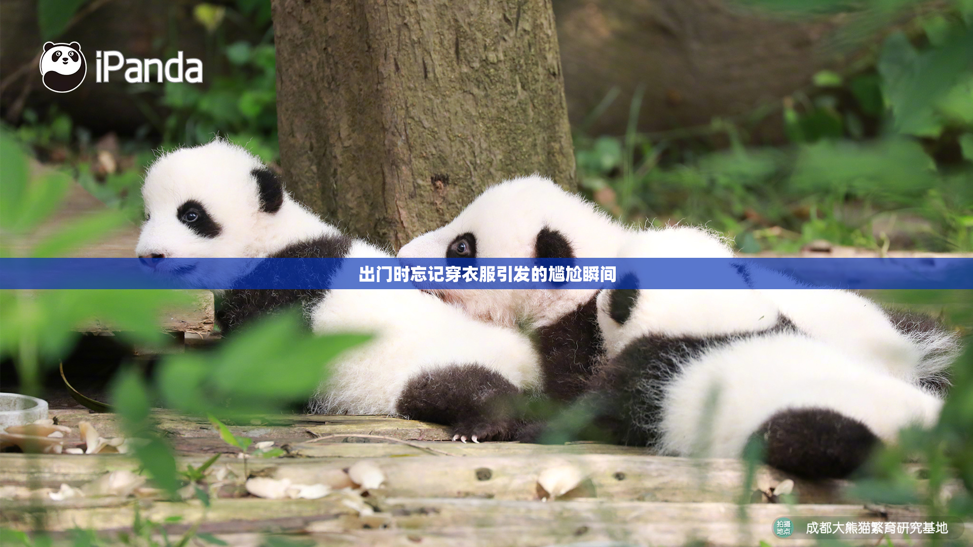 出门时忘记穿衣服引发的尴尬瞬间