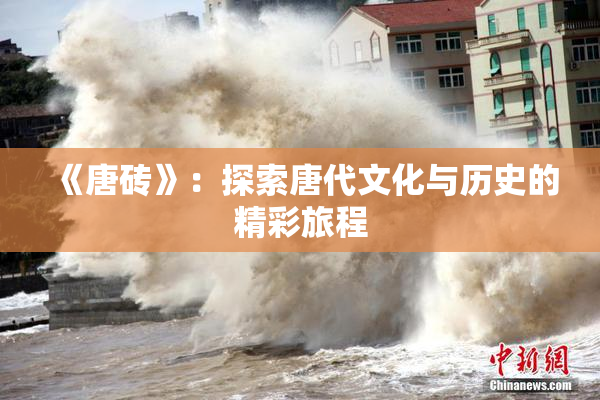 《唐砖》：探索唐代文化与历史的精彩旅程