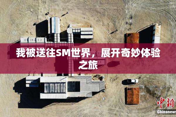 我被送往SM世界，展开奇妙体验之旅