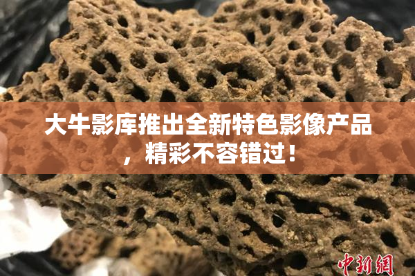 大牛影库推出全新特色影像产品，精彩不容错过！