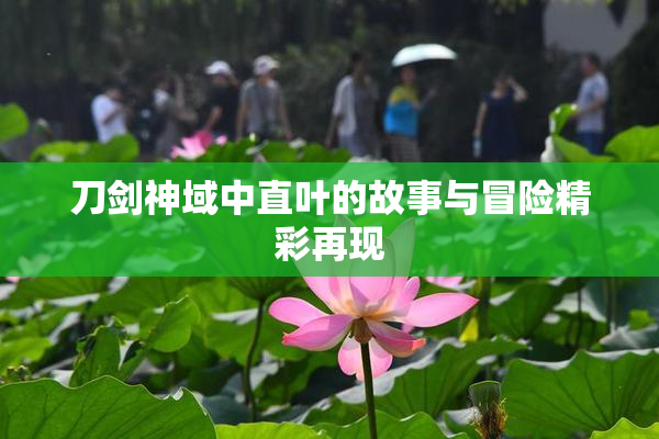 刀剑神域中直叶的故事与冒险精彩再现